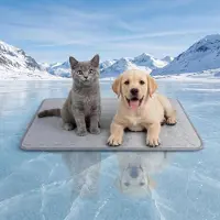 Sonstiges Kühlmatte für Hunde & Katzen L 50 x 40 x 1 cm Selbstkühlend atmungsaktiv maschinenwaschbar