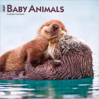 BrownTrout Babytieren Kalender 2027