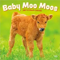BrownTrout Baby-Moo-Moos Kalender 2027