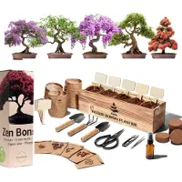 Merkloos Komplettes Bonsai Set mit Werkzeug und Samen