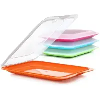 MPL Power Elektro Partikas-Aufbewahrungsbehälter für gekühlte, geschnittene Produkte Fresh 17x25 2x3 2 cm, sortiert