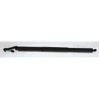 TRISCAN Gasfeder, Koffer-/Laderaum 871043319 für HYUNDAI