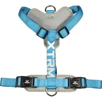 Nayeco X-trm Cronos Neon Flash Hundegeschirr Blau 20 mm x 46-75 cm Blau 20 mm x 46-75 cm