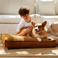 FUKUMARU Orthopädisches Hundebett 91x64x14 cm Grau Waschbar Wasserdicht Anti-Rutsch