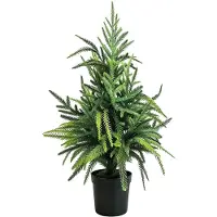 Tissting Künstlicher Norfolk Pine Baum 60 cm, Deko-Baum