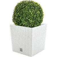 Wellhome Prosperplast Rato 32l S Set Blumentopf 2 Einheiten