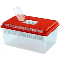 Ferplast Geo Flat 4l Plastik-aquarium