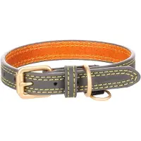 Flamingo Virginia Hundehalsband