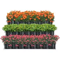 Markenlos Hochbeet 118x118x60 cm - Anthrazitgraue Gartenbox für Blumen und Gemüse