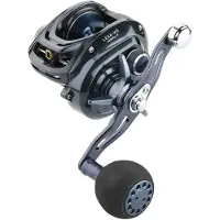 Daiwa Lexa Hd 2019 Baitcasting-rolle