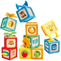 Hape - Delightful Discovery Blocks (87-0541)