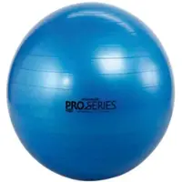 Thera-band Scp Fitball