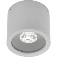 Albert 692319 Deckenaufbaustrahler Typ Nr. 2319 - Farbe: Silber, mit 1 x LED 8 W, 800 lm, 3000 K