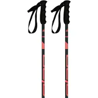 Elan Speedrod W Stöcke