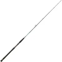Daiwa Harrier Slow Jiggingrute 2 Abschnitte