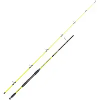 Expert Predator Barracuda Spinnrute