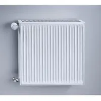 Sanicomfort Heizkörper, »Typ 22«, LxB: 110x55 cm, weiß - weiss