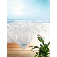Frankenstolz f.a.n. Leicht-Steppbett Summerline Cool Linnen Größe 135x200