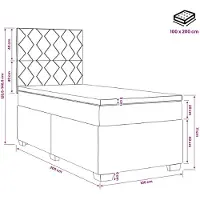 vidaXL Boxspringbett mit Matratze Schwarz 100 x 200 cm Samt