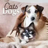 The Gifted Stationery Katzen- & Hunde-Kalender 2027
