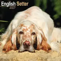 Avonside Publishing Ltd. Englischer Setter Kalender 2027
