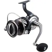 Daiwa Rolle 26 CERTATE SW 10000-H