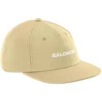 Salomon Logo Flat Kappe