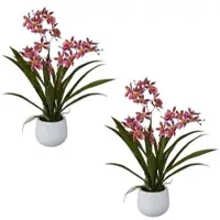 Creativ Green künstliche Pflanze Cambria-Orchidee, 50 cm, 2er Set