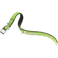 Ferplast Dual 15 Mm 35 Cm Hundehalsband