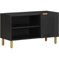 vidaXL TV-Schrank Schwarz 80x33x46 cm Holzwerkstoff