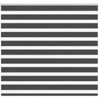 vidaXL Doppelrollo Schwarz 165x100 cm Stoffbreite 160,9 cm Polyester