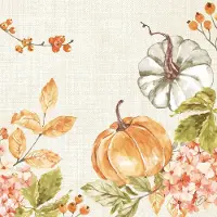 Duniwell 6x Bio-Dunisoft-Servietten 40x40cm Spicy Pumpkin 2160 St Tücher