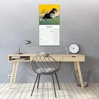 Avonside Publishing Ltd. Zwergschnauzer Kalender 2027