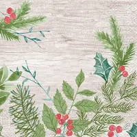 Duniwell Servietten 40x40 3-lagig 1/4 Winter Greenery 4000 St Tücher