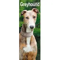 Avonside Publishing Ltd. Greyhound-Kalender 2027 (schlankes Format)