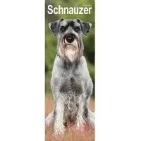 Avonside Publishing Ltd. Schnauzer Kalender 2027 Slimline