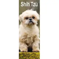 Avonside Publishing Ltd. Shih Tzu Kalender 2027 Slimline