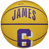 Wilson Nba Player Icon Mini Bskt Lebron