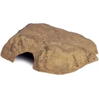 Exo Terra Höhle Des Großen Reptils