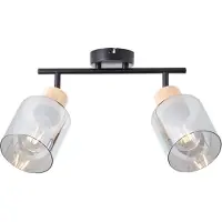 Lightbox Deckenspot mit rauchfarbenen Glas Schirmen, 2 x E27 max. 40 W