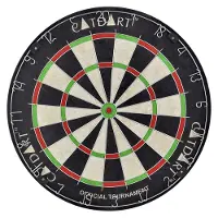 Gamesson Catdart Champion Bristle, Spielzeug-Dart-Set, 14 Jahr(e), 15 min