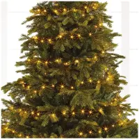 Lumineo Weihnachtsbeleuchtung LED-Ricelights Outdoor 27 Meter