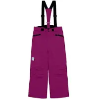 Color Kids Ski Pants W. Pockets 742801 wild aster (6261) 134