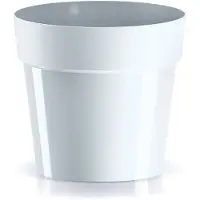 Prosperplast Cube Collection 199x199x183 Mm Blumentopf