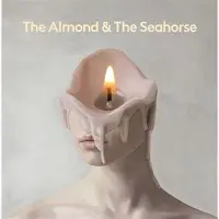 Rough trade The Almond & the Seahorse/Ost [Vinyl LP] | Zustand: Neu & original versiegelt