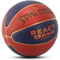 Spalding React LNB 24 TF-250 Composite
