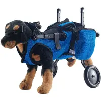 Merkloos Hundewagen für die Hinterbeine – Verstellbar und leicht