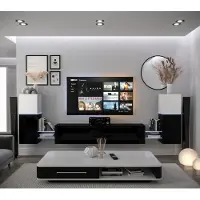 Furnitech Wohnwand Wohnzimmer - Wohnzimmer Möbel mit LED RGB - 16 Farben - Hängend Wohnwand Modern - Regale und TV Schrank (AN104-21WB-HG4- 1A)
