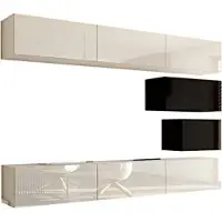 Furnitech Wohnwand Wohnzimmer - Wohnzimmer Möbel mit LED RGB - 16 Farben - Hängend Wohnwand Modern - Regale und TV Schrank (Future C16/HG/BW/3 1A - 249 cm)