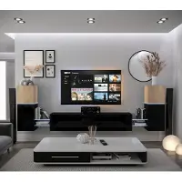 Furnitech Wohnwand Wohnzimmer - Hängend Wohnwand Modern - Regale und TV Schrank - Wohnzimmer Möbel ohne LED (AN104-21SB-HGM5-1C)